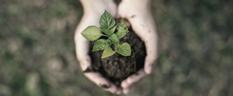 Comprom¡s medi ambient (1)