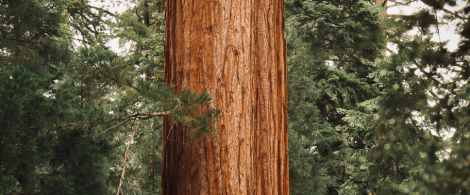 Finances Sostenibles 2 (3)